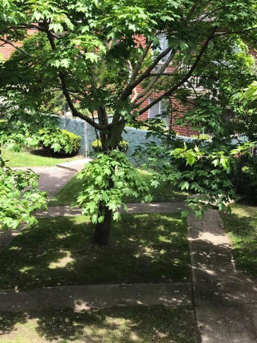 Brooklyn Luxury Spring Retreat With Private Outdoor Space Νέα Υόρκη Εξωτερικό φωτογραφία