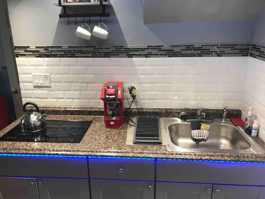 Brooklyn Luxury Spring Retreat With Private Outdoor Space Νέα Υόρκη Εξωτερικό φωτογραφία